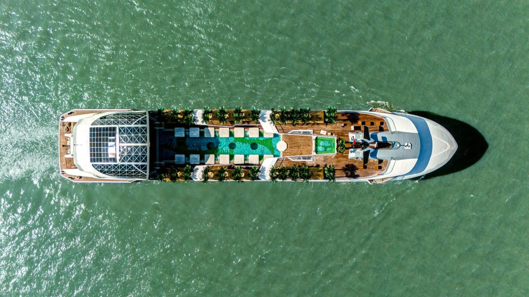 Dolphin Cruise nhìn từ trên